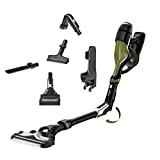 Rowenta Air Force 460 RH9202ES, Aspirador de Mano Sin Cabina con Manguera Fxib, Verde, Talla Única